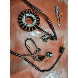 STATOR UZWOJENIE POLARIS...