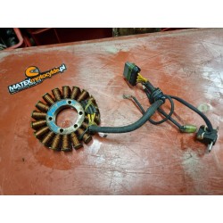 STATOR UZWOJENIE POLARIS...